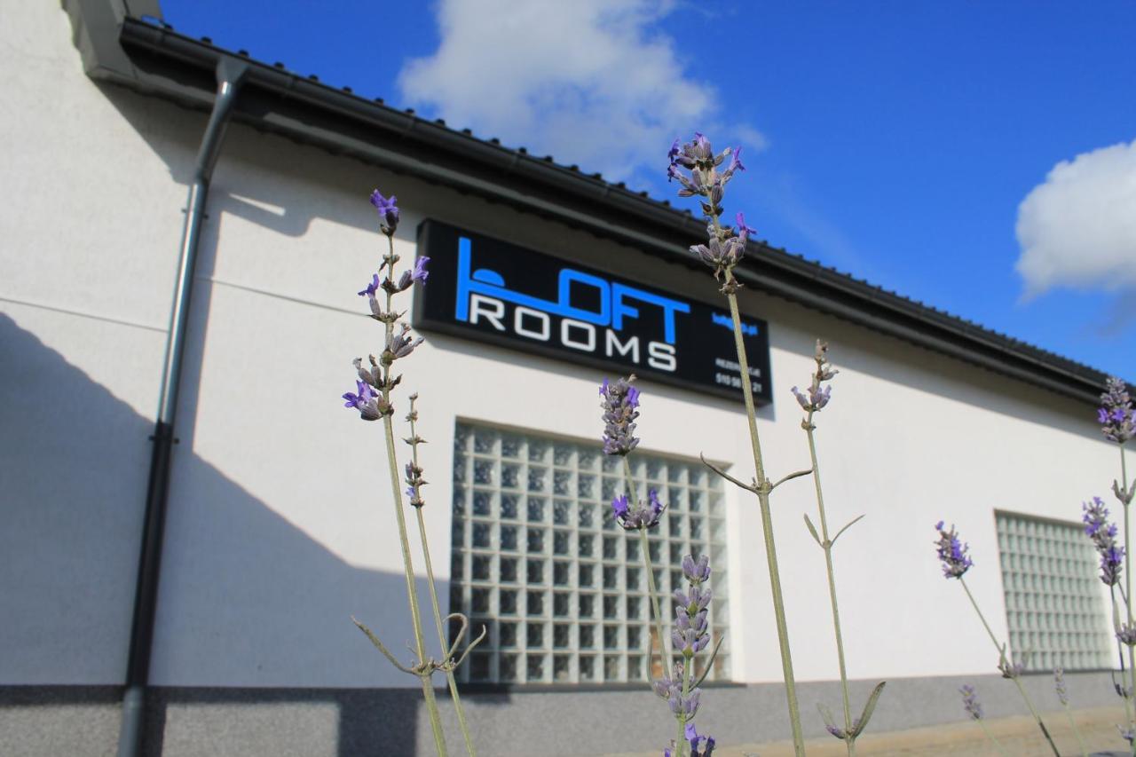 Loft Rooms Zamość Eksteriør billede